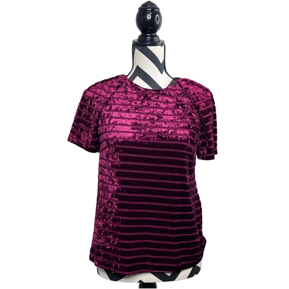 NWT Anthropologie Sunday in Brooklyn Sz XS Velvet Evening Blouse